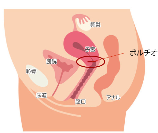 体外ポルチオ」って本当にできるの？ | Tips