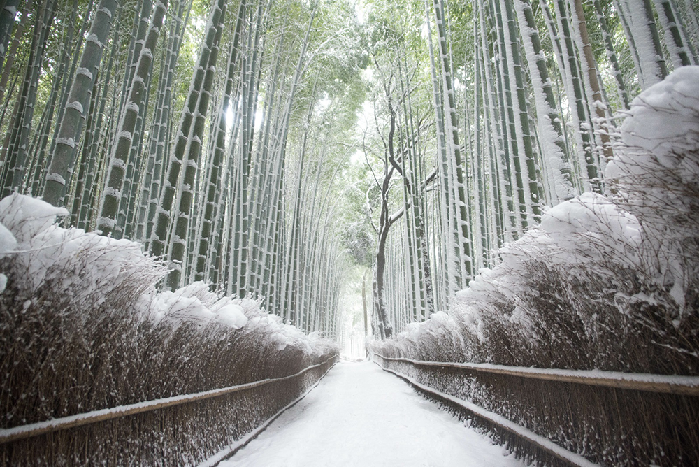 冬に行きたい！】京都のおすすめ観光スポット8選－雪化粧と冬の空気感が似合う場所｜THE GATE｜日本の旅行観光マガジン・観光旅行情報掲載