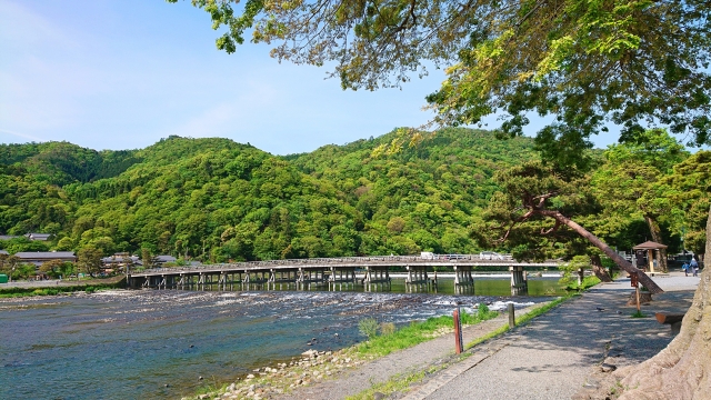 京都 下鴨神社(京都の夏、新緑の時期におすすめのスポット!写真の紹介、アクセス情報など) - 写真や映像で紹介する関西・近畿の絶景カメラ・観光スポット