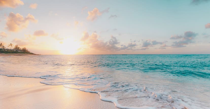 海葵凛人の名前の由来と兄弟コーデTikTok