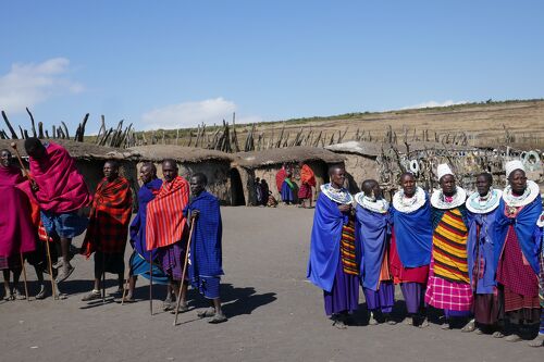 マサイって本当はどんな人たち？マサイの声をもとにした、伝統文化と現代のリアル解説！Wildlife Ventures 公式note