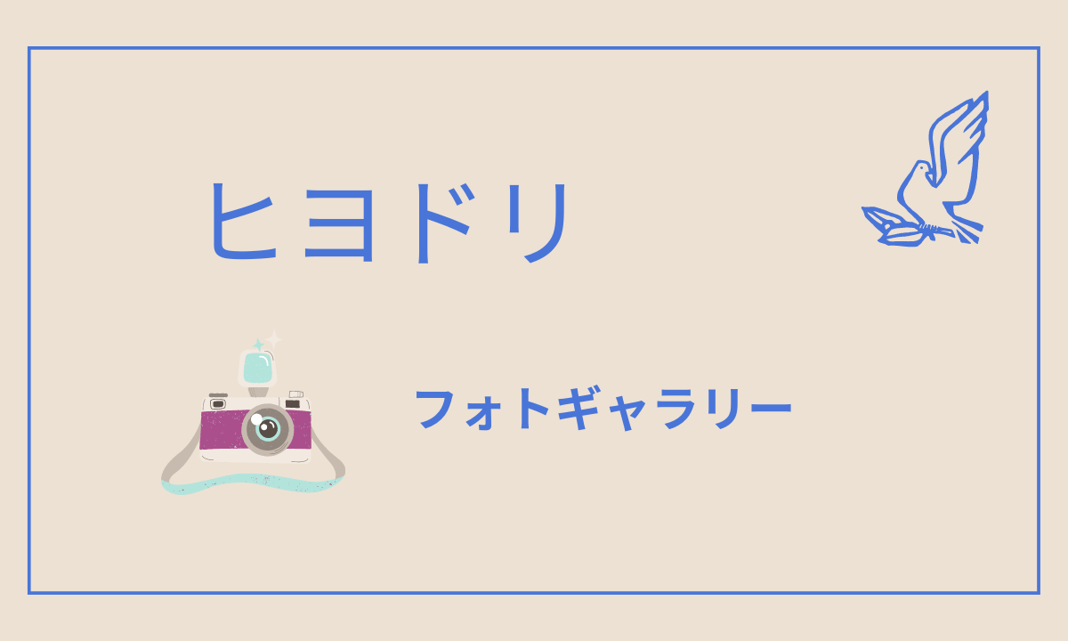 ヒヨドリの子育てから・ - FLCスタッフエッセイ大阪のカウンセリング女性ライフサイクル研究所