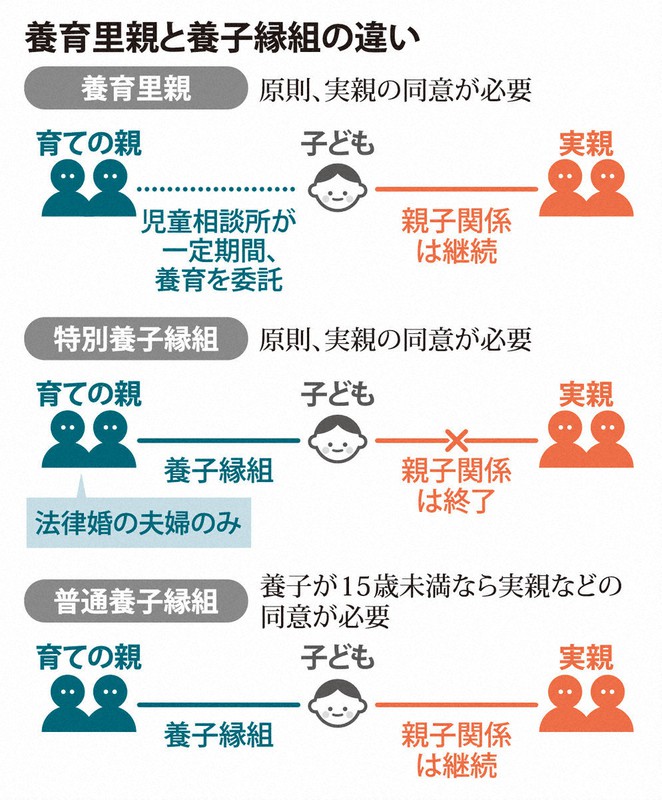 同性婚 女性カップルで子育て。2人ママの家庭を築くまちさん＆テレサさんが語る、日本での現状と課題ハーパーズ バザー Harper'sBAZAAR 公式