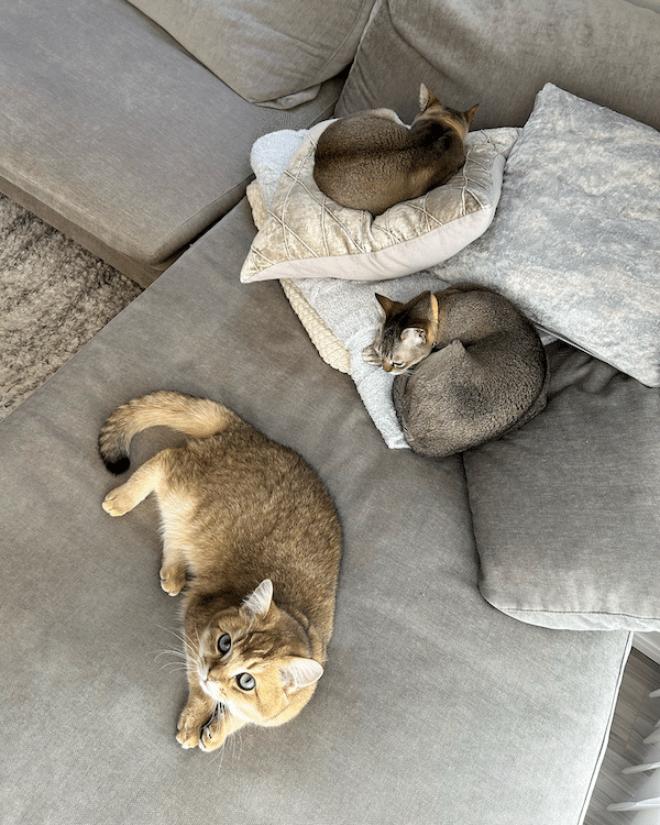 久保田悠来、貴島明日香からのモコモコ返しに思わず2023年1月2日- エキサイトニュース