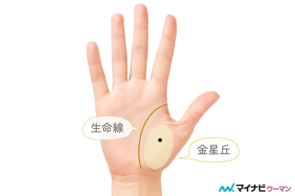 ほくろ占い」とは？顔・体のほくろの位置で占う性格・運勢 -セキララゼクシィ