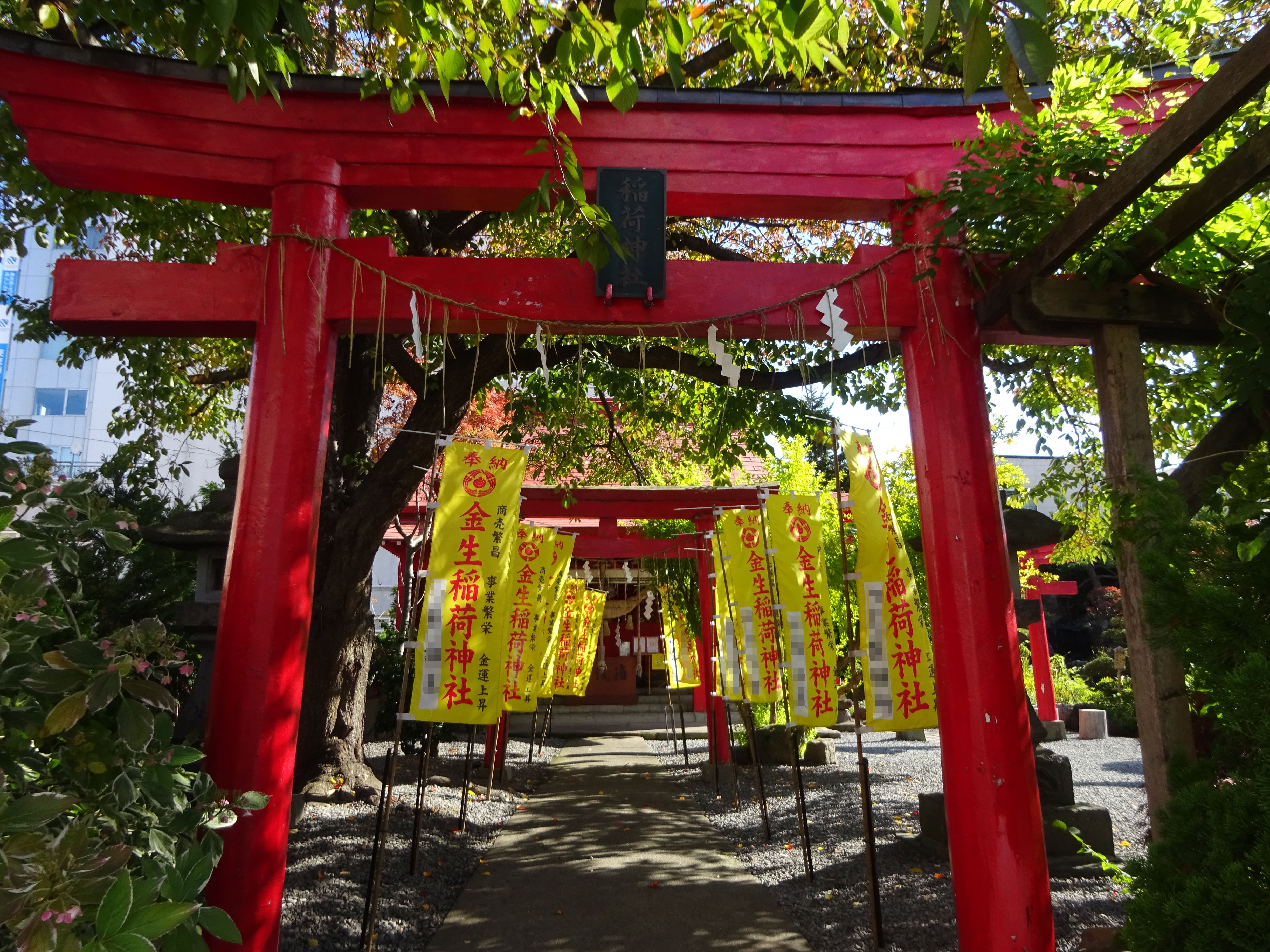 桜井識子・監修『神仏をいつも身近に感じるために～心澄ませ、気運を高める～』トレーラ