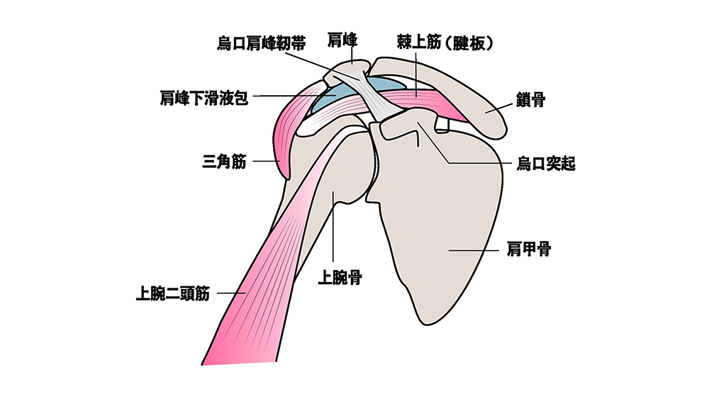 肩を抱く男性心理8選！ 「マイナビウーマン」