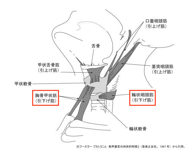 喉締めの直し方