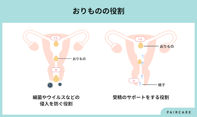 おなかのトラブル（５）子どもの便秘 腸・肛門に異常があることも…排便「不安行動」見逃さない | ヨミドクター(読売新聞)