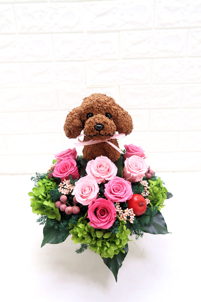 8月生まれのわんちゃん, お誕生日おめでとうございます✨, ささやかながらですが、, 8月生まれのわんちゃんへ, プレゼントを用意しました。,＊お誕生日のわんちゃんのいる方＊, 受付時にスタッフに「お誕生日です」と, お伝えください☺️, ワンちゃんと一緒に、,ルーシーリゾートで楽しい思い出を, たくさん作ってくださいね💕, —————————————————————, ルーシーリゾート,