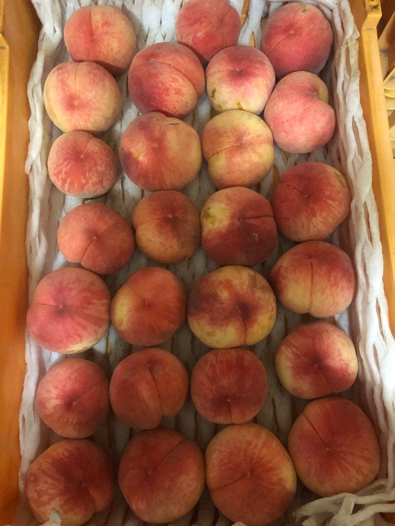 学童・モモ 横浜市中区:小学校e-shops