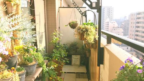 一人暮らしにおすすめの観葉植物は？ お手入れ方法と育て方まとめLIFE LIST - 好きな街・住みたい街・私の街