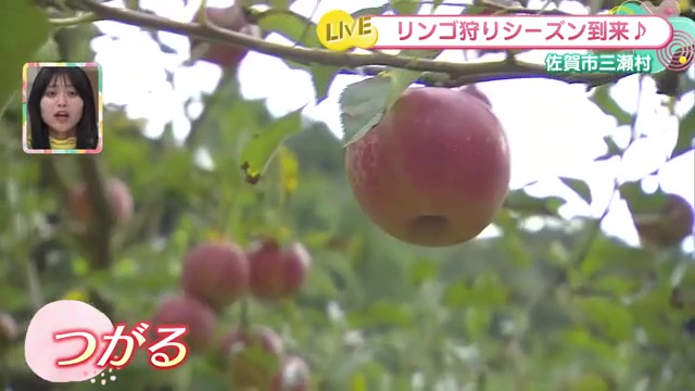 岡田光栄さん矢吹フロンティアーズ日本三大開拓地 矢吹町