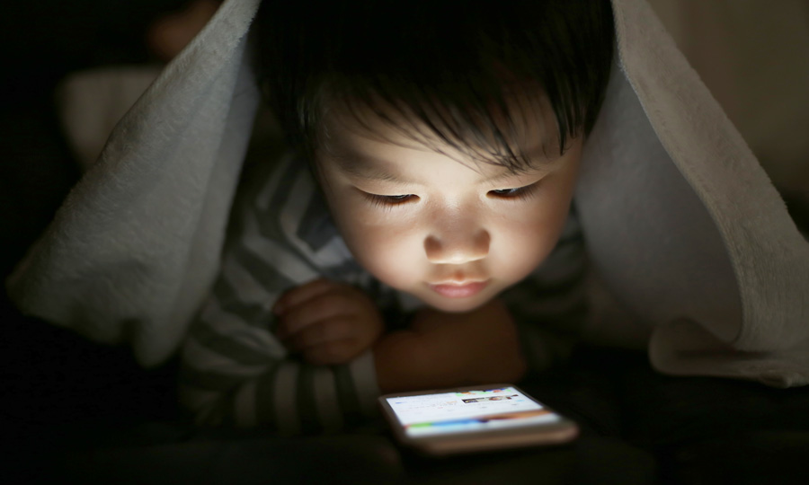 楽天市場 敷布団 敷き布団 敷布団 セミダブル 敷き布団 セミダブル セミダブル 敷布団 固綿 敷き布団 厚い セミダブル 布団 セミダブル 敷き布団添い寝 ごろ寝 マット ごろ寝 マットレス 添い寝 マットレス セミダブル 120 200 敷布団 3層構造 固綿入 しっかり敷布団