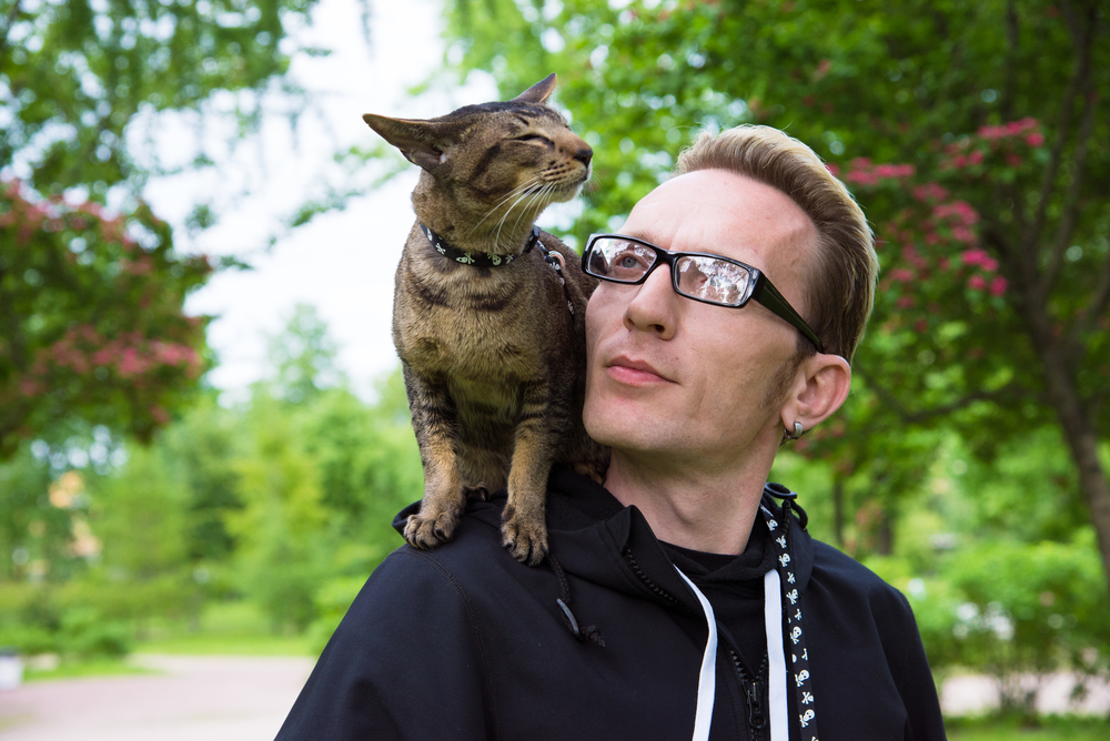 尾上松也と野村彩也子と尾上右近が美味しいものでガチトーク ぴったんこカンカン ！歌舞伎三昧