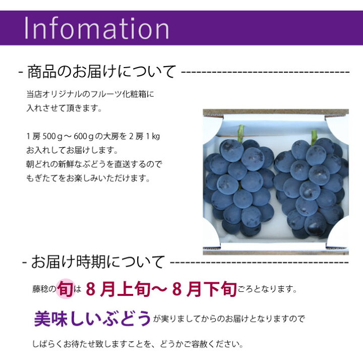 フルーツ ぶどう 藤稔 ふじみのり 2房入り1房 500g前後山梨県産 秀品 化粧箱入り日本ロイヤルガストロ倶楽部