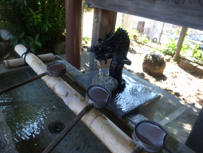 家康を辿る城旅「曳馬城」！家康、遠江へ侵攻！立ちはだかる女城主とゆかりの椿姫観音夢中図書館 いざ城ぶら