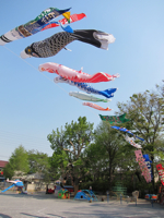 もうすぐこどもの日👶, 保育園では、大きなこいのぼりがお空いっぱい泳いでます🎏風が気持ちいい日は特に、みんなお空を見上げて大喜びですよ🌬️,株式会社日本保育サービス ,日本保育サービス,足立区,足立区保育園,保育園,園見学,保育園園見学,子育て,育児,マイ保育園,保育士求人,保育士募集,こどもの日,こいのぼり,大きいこいのぼり,
