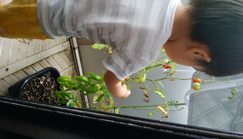 秋の公園を楽しもう！自然遊びで子供の五感を育みながら楽しめるオススメの遊び方 - 東海地方の公園NAVI