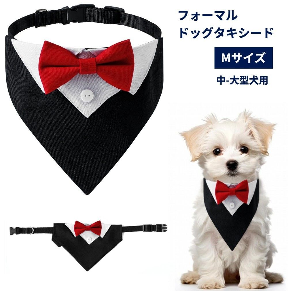 犬用蝶ネクタイ結婚式のお呼ばれに！おしゃれなペット用ネクタイのおすすめランキングキテミヨ-kitemiyo