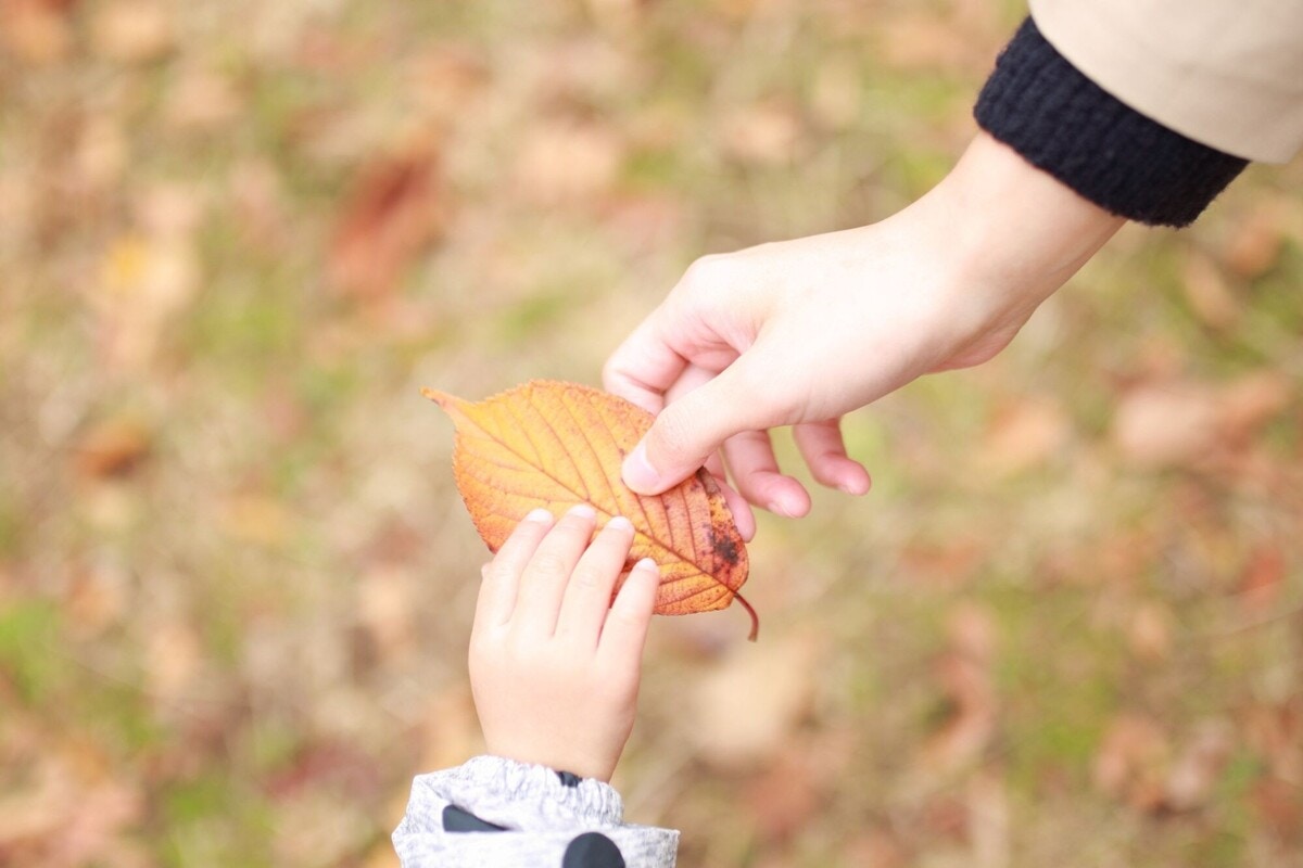 レトロな秋ネームが人気！ムーンネーム・葉ネームなど古風で日本的なレトロネームが最旬トレンド！2022年『10月生まれベビーの名づけトレンド』発表！株式会社ベビーカレンダーのプレスリリース