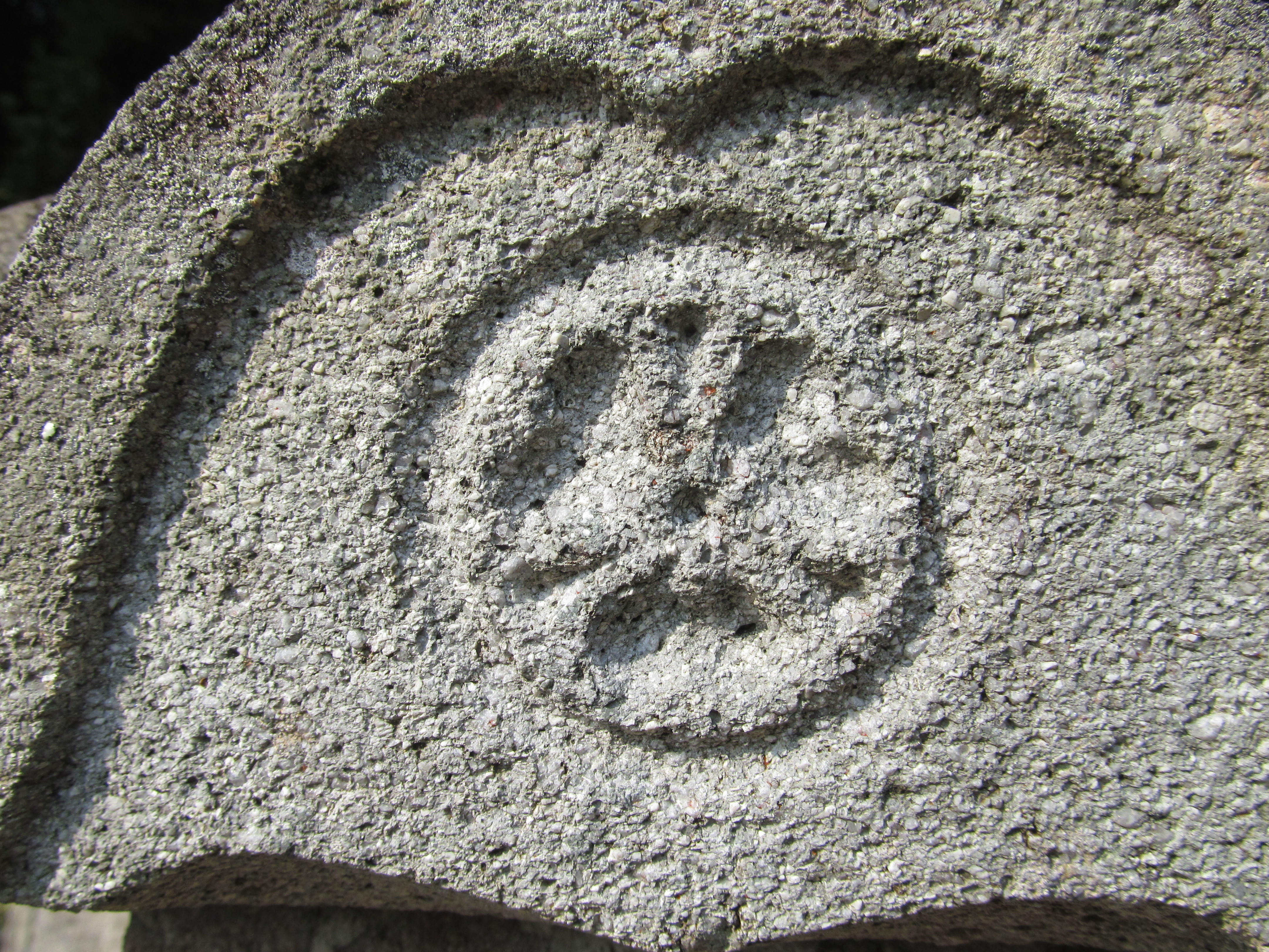 山下さんのルーツを探せ！ニッポン旅マガジン