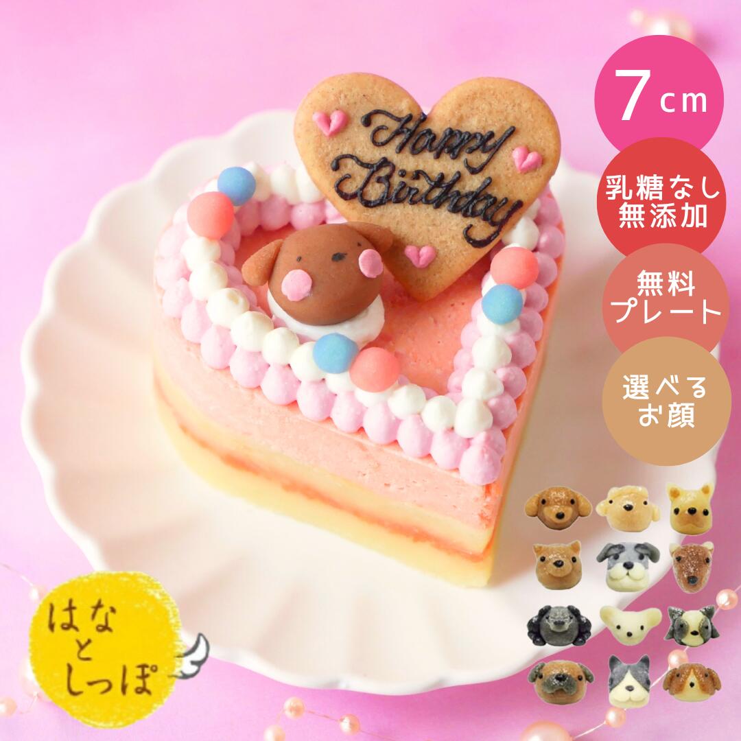 犬用誕生日ケーキの手作りレシピとポイント