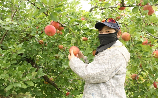 人生は甘くない！？生まれて初めて「レモン」に出会った赤ちゃん 写真14枚TABI LABO