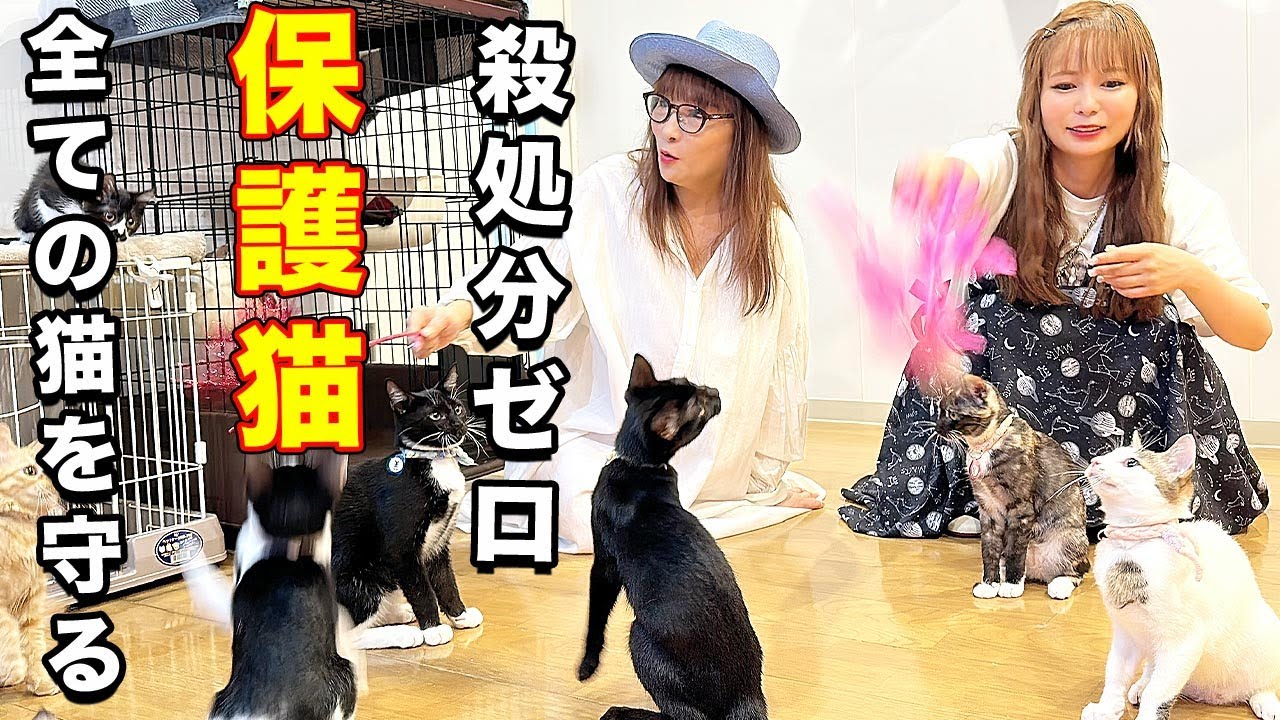 小林幸子 しょこたん母は元同僚！？ 芸能 デイリースポーツ online