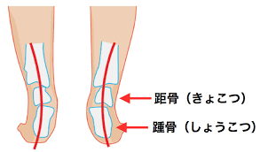 サリーちゃんの足maruの静かな生活
