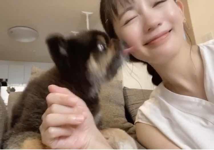 毎回泣けちゃうCM 日本生命「笑顔が大好き」編Junpin' Jungle Flash〜映画ドラマアニメブログ