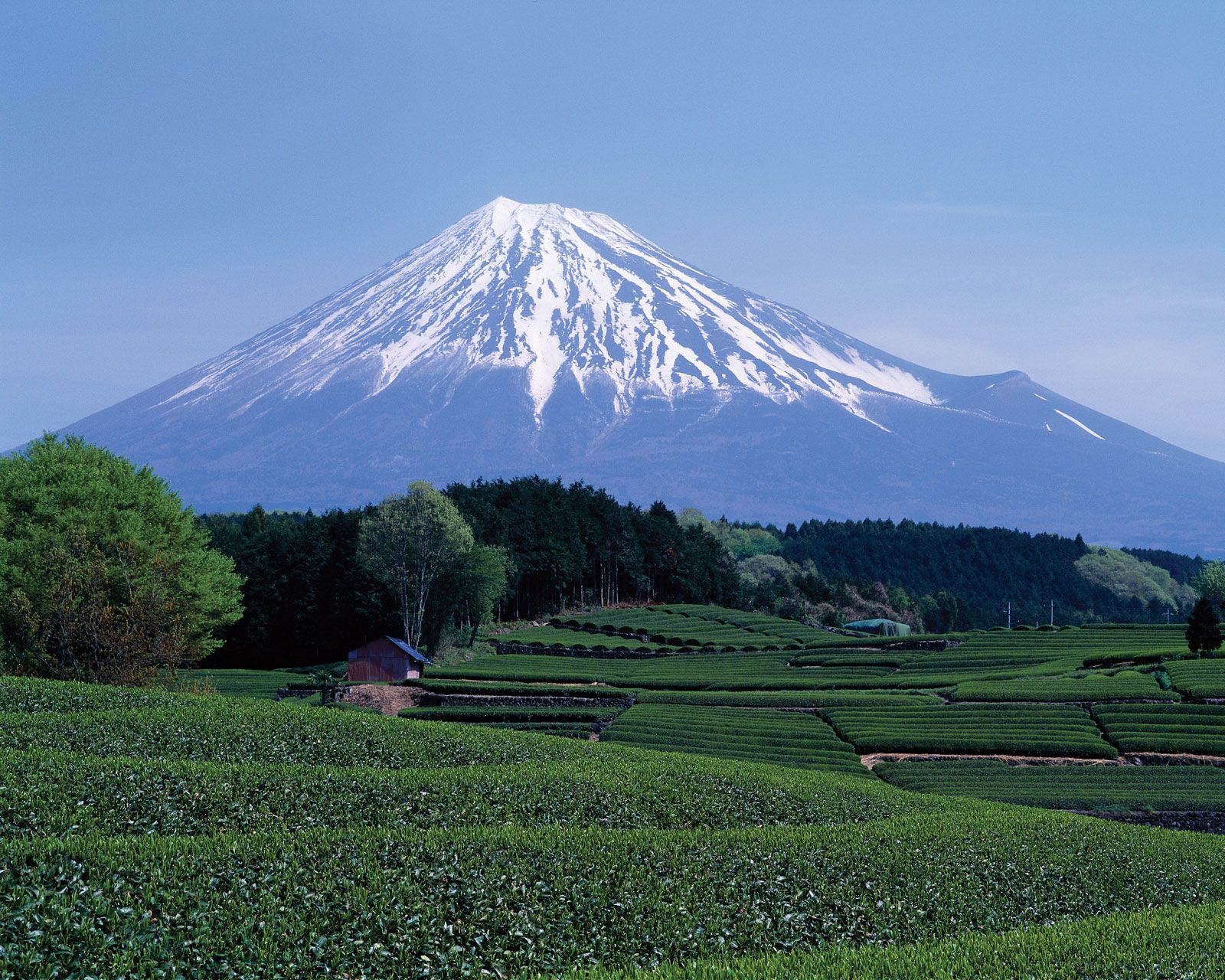 ジャパントラックショー in Fujispeedway 2024 |