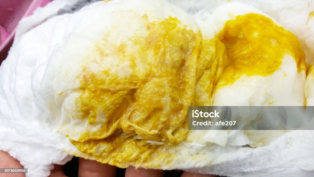 畳にペットのうんこがついた時の掃除方法を簡単解決！ペットのための清潔な環境づくりとはセキ畳店