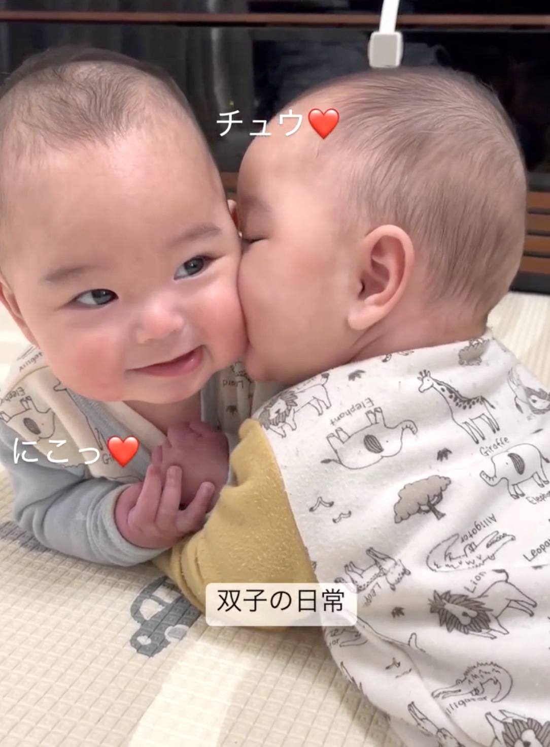 赤ちゃんの横顔のほっぺみたいな写真🤣 朝日は早起きして綺麗に見れる場所に行かないと見れないから少し特別感あって好き