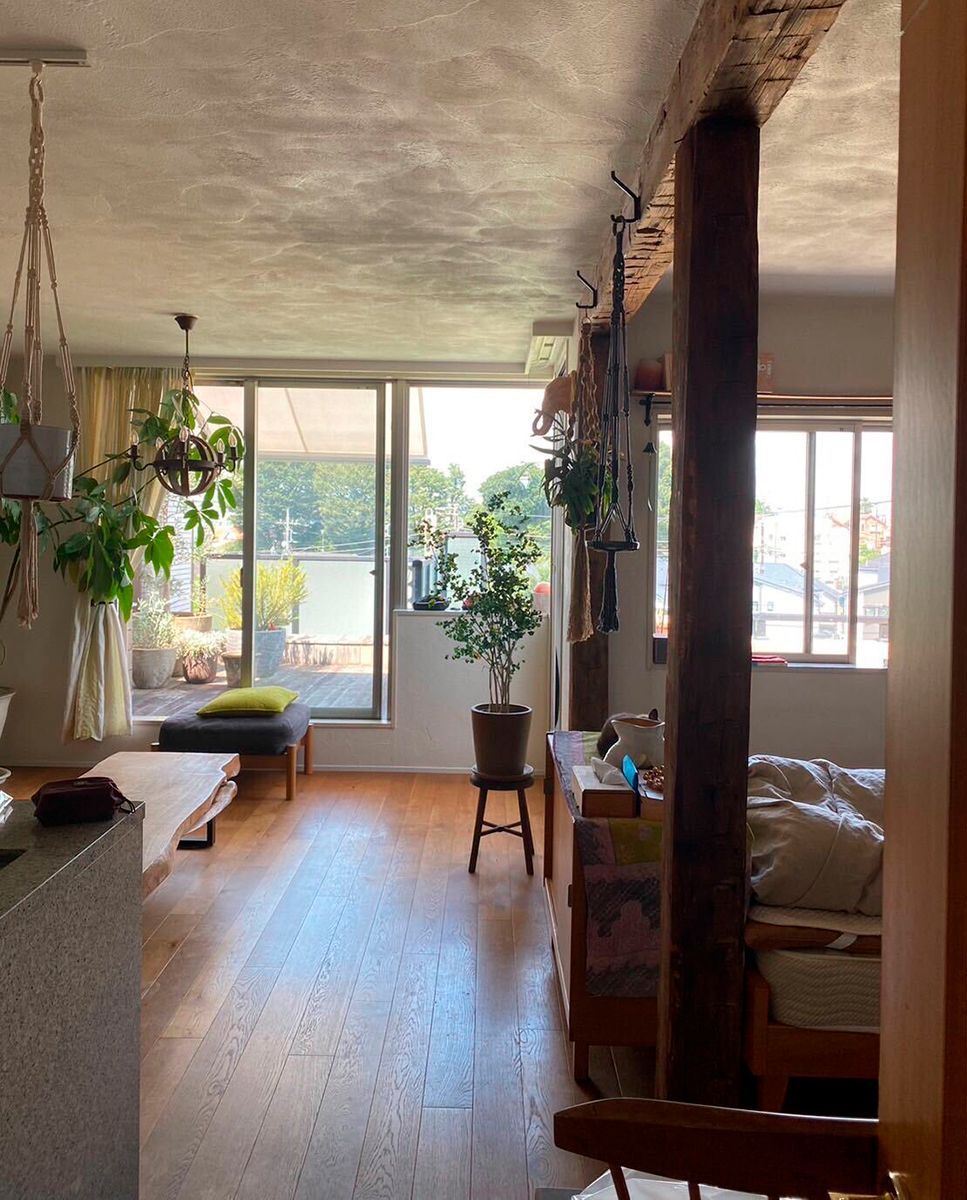 6年前の真実！絵本に隠された秘密を追う錐 平祐奈 と猿渡 丸山隆平 『FOGDOG』第2話Lemino ニュース