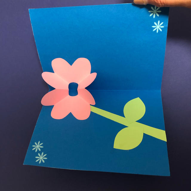 入園祝いについて相場やマナーとおすすめのおもちゃギフト5選GENI ジェニ 公式オンラインショップ