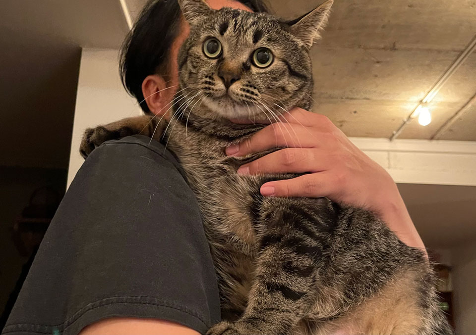 男同士の絆 イギリス文学とホモソーシャルな欲望 中古本・書籍ブックオフ公式オンラインストア