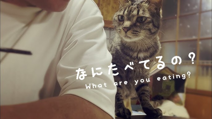 時々 大人げない保育者” -“”- ” – 安田幼稚園