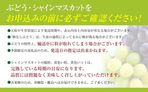 地元農家直送!＞ 藤稔 3房 約1.8kg葡萄 藤稔 種なし ぶどう 巨峰 高級 国産 濃厚 甘い 果物 フルーツ 期間限定 数量限定<CQ-1> - 静岡県南伊豆町ふるさとチョイス - ふるさと納税サイト