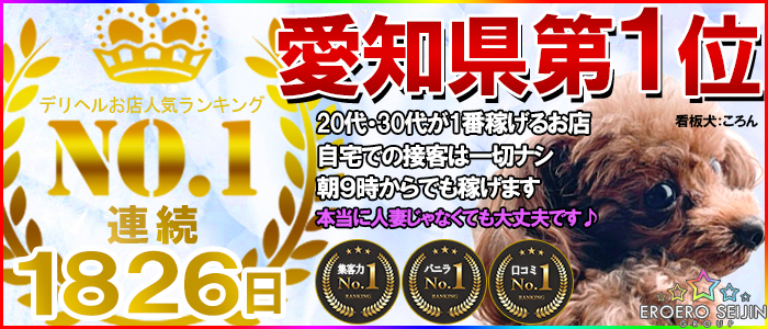 豊橋・豊川(東三河)の人妻・熟女デリヘルランキング｜駅ちか！人気ランキング