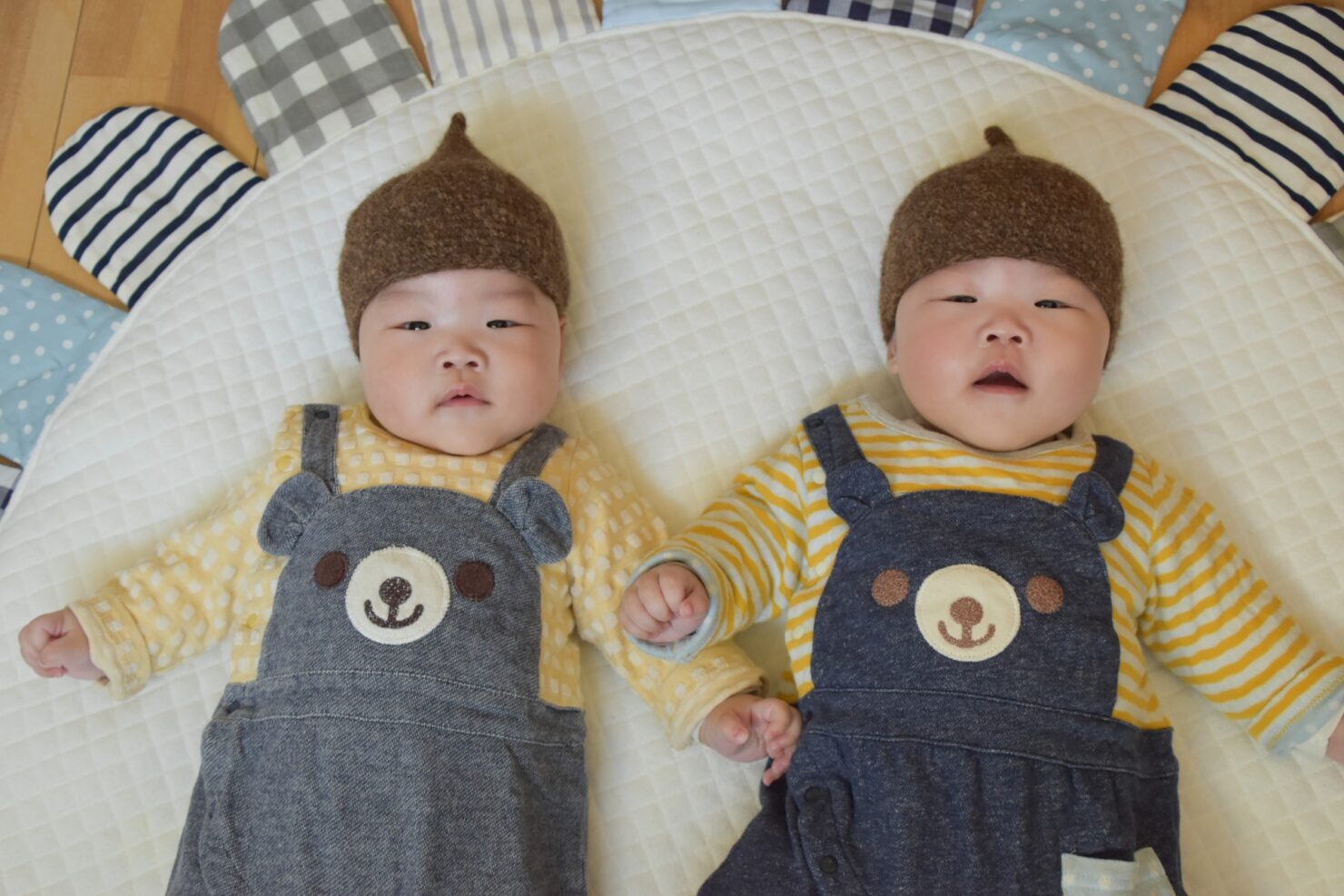 みんなのどんぐり帽