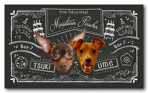 ペット名刺_型抜きタイプ_列車デザイン 1個50枚 _cut_w009-dペット名刺のもふり堂