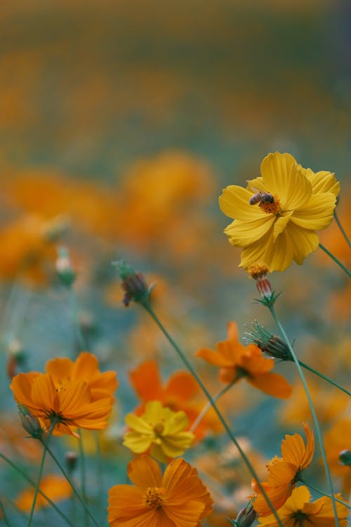 AI 熟女A4 高画質 イラスト 巨乳 グラビア おばさん 美魔女 四十路 五十路 六十路 40代 50代 60代 着衣 下着 水着 セクシー人妻 絵 item detailsJDirectItems AuctionOne Map by FROM JAPAN