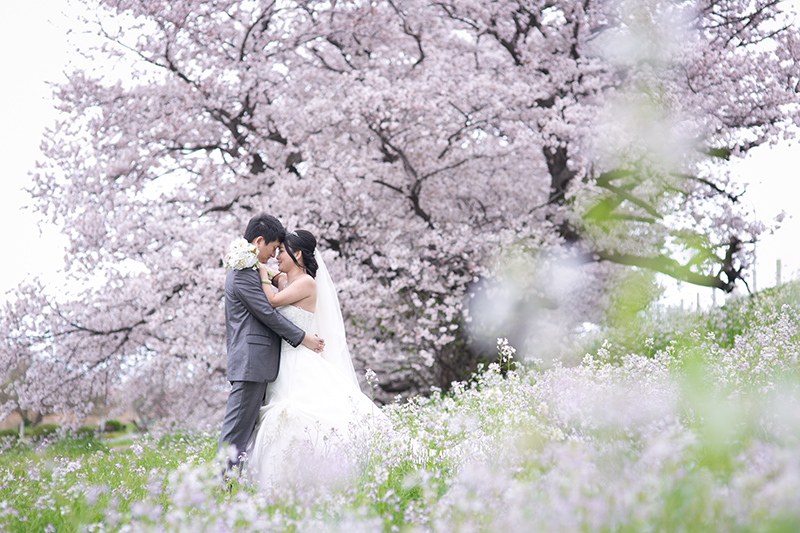桜でフォトウェディング＆前撮り 大阪・関西のおすすめロケーションスポット4選 - 結婚写真・フォトウェディング のお役立ち情報阿部写真館-大阪本町靭公園店