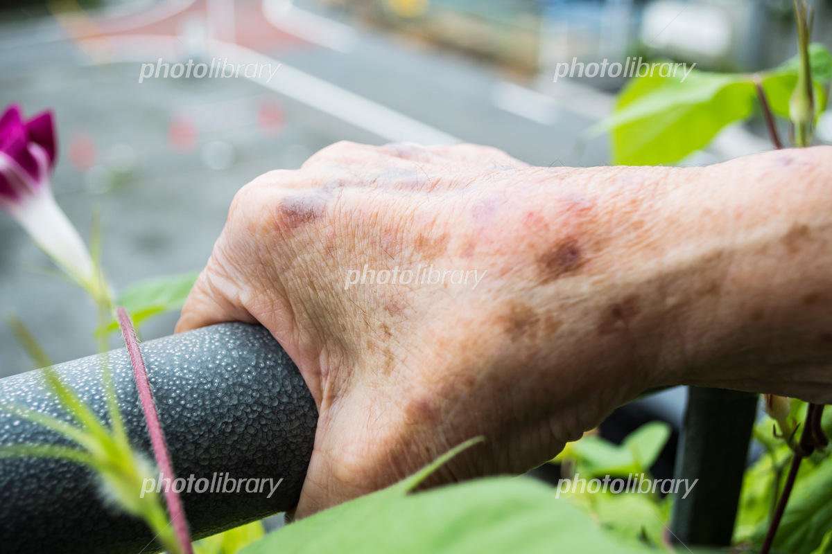 おばあちゃんの手