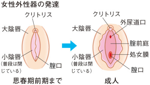 手マンの正しいやり方とは？女性が気持ちいいと感じるコツやテクニックを徹底解説｜風じゃマガジン