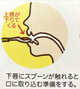 生後7ヶ月の赤ちゃんの成長、産後7ヶ月のママの状態は？-おむつのムーニー 公式 ユニ・チャーム