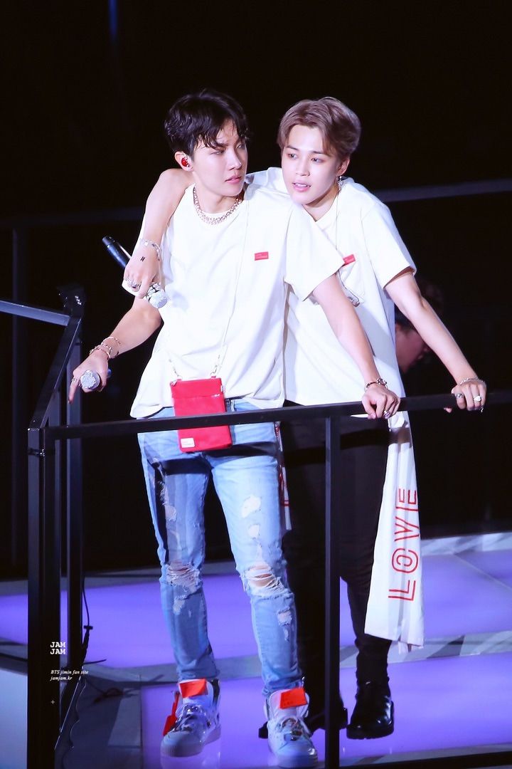 🐿永遠の兄弟🐤ワンパク🌈ホプミン✨ bts army jhope jimin ホプミン