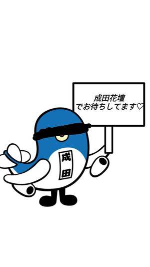 最新版】八街でさがす風俗店｜駅ちか！人気ランキング