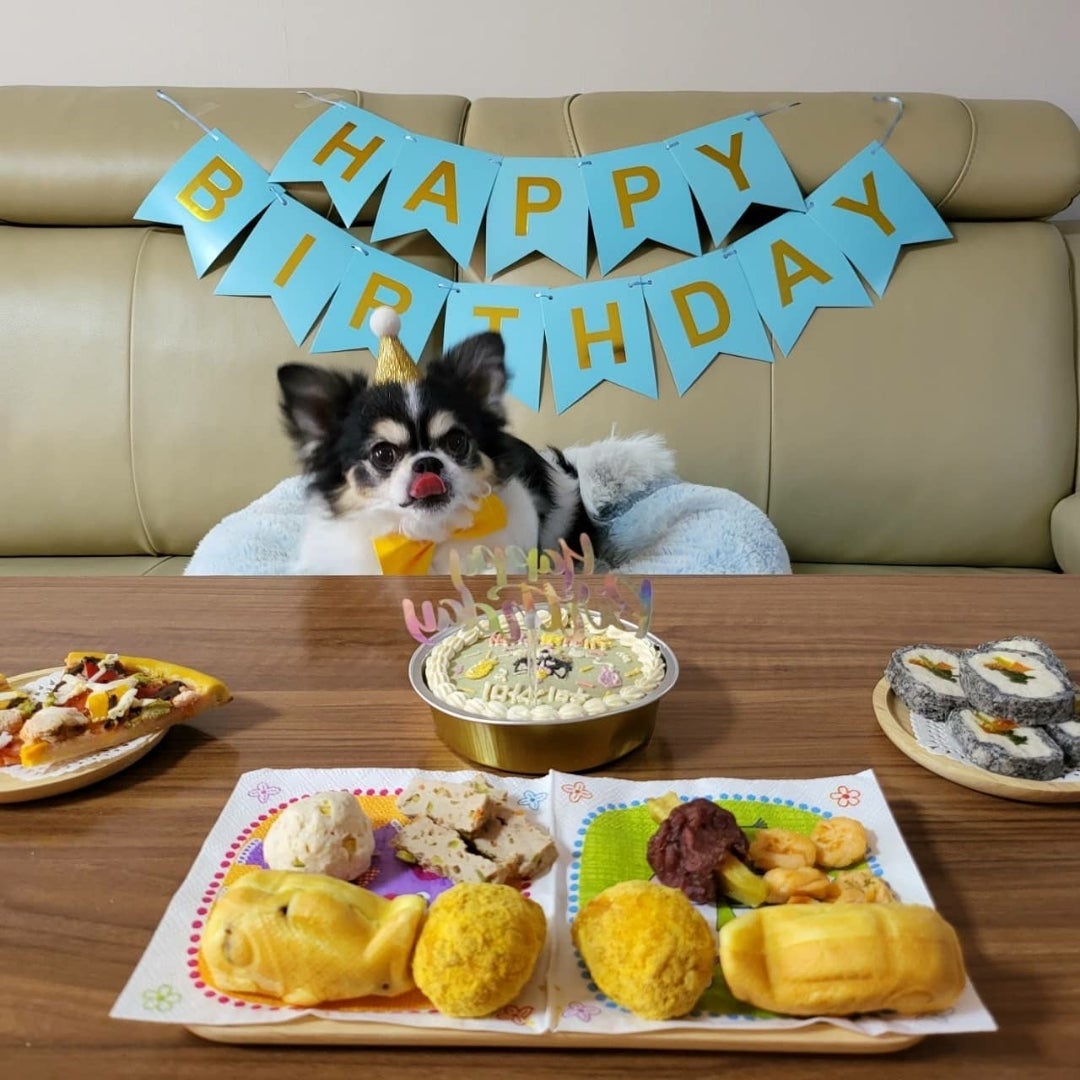 離婚危機夫婦のスキズ家族ごっこ！TikTok